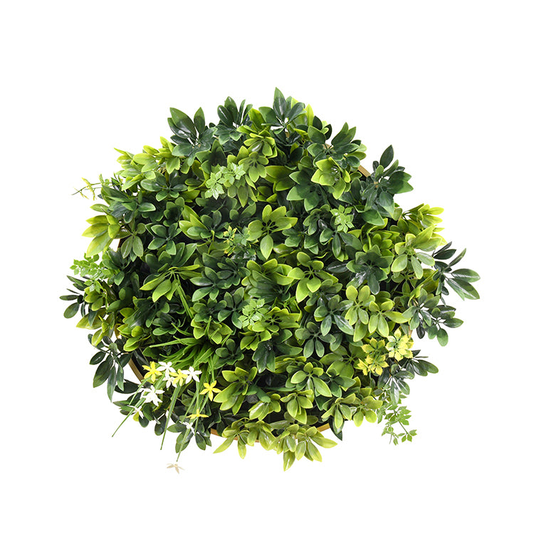 Artificial Green Wall Plant Panel Daffodil Smile Disc Art 50cm Grassy UV Resistant Frame