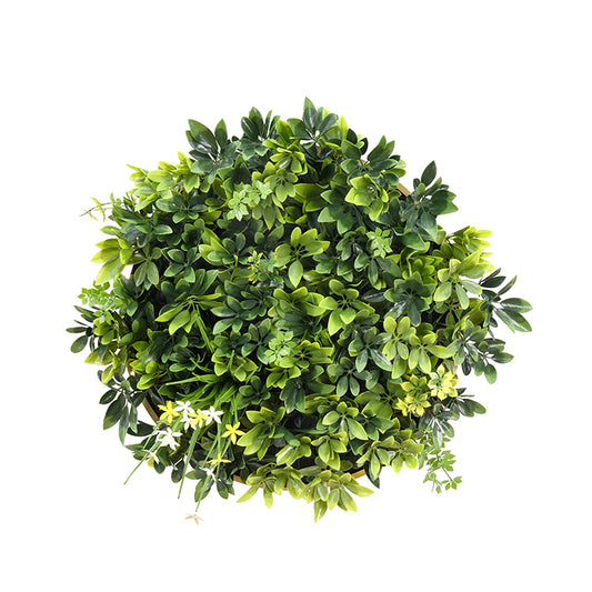 Artificial Green Wall Plant Panel Daffodil Smile Disc Art 50cm Grassy UV Resistant Frame