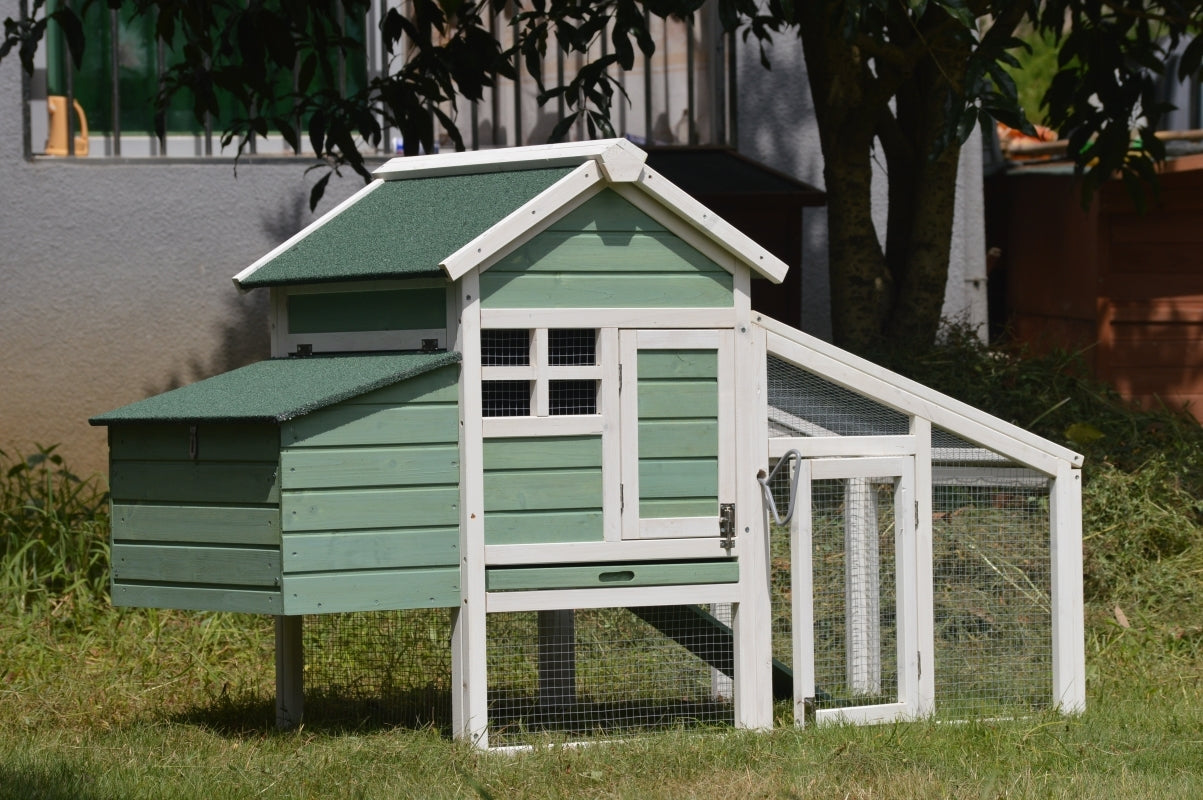 Chicken Coop Green Small with Nesting Box for 2 Chickens / Rabbit Hutch