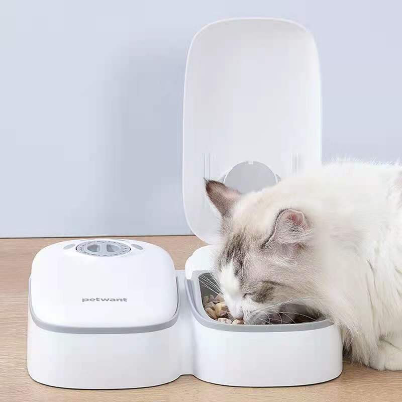 Automatic Pet Feeder 2 Meal Timer for Dogs Puppies Cats