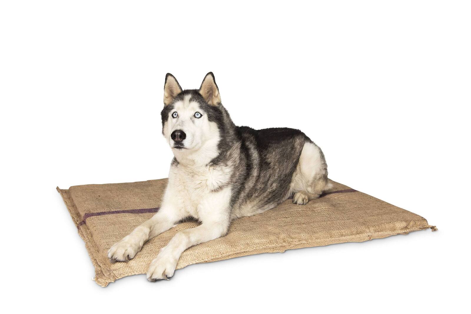 Jumbo Hessian Pet Dog Puppy Bed Mat Pad House Kennel Cushion With Foam 110 x 78¬†cm