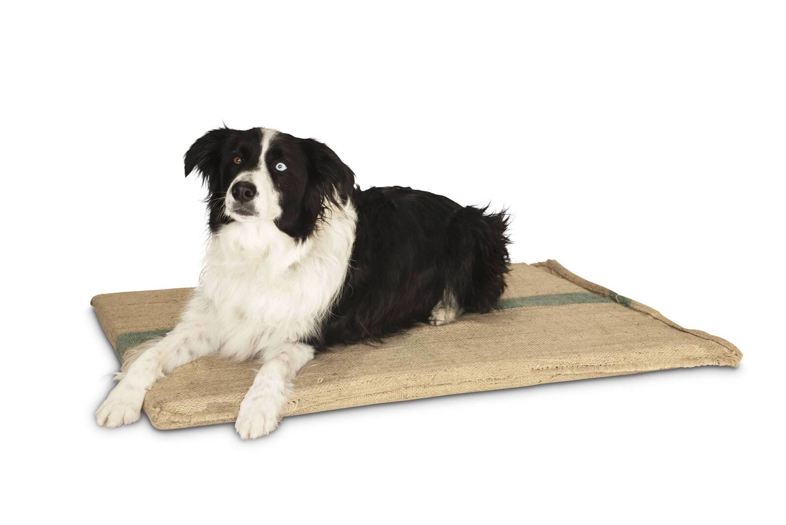 Large Hessian Pet Dog Puppy Bed Mat Pad House Kennel Cushion With Foam¬†100 x 69 cm