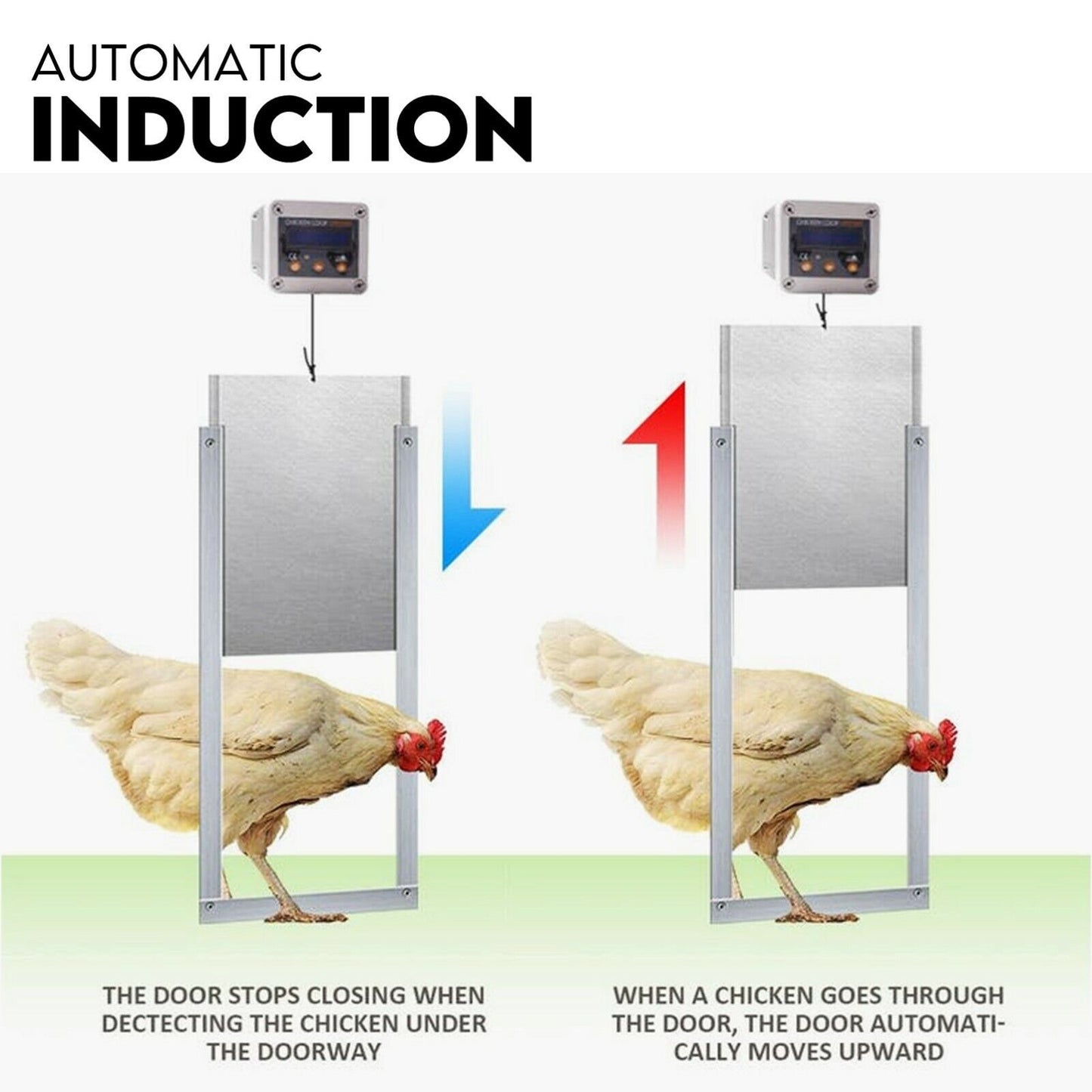 Chicken Coop Door with Digital LCD Screen Timer and Sensor