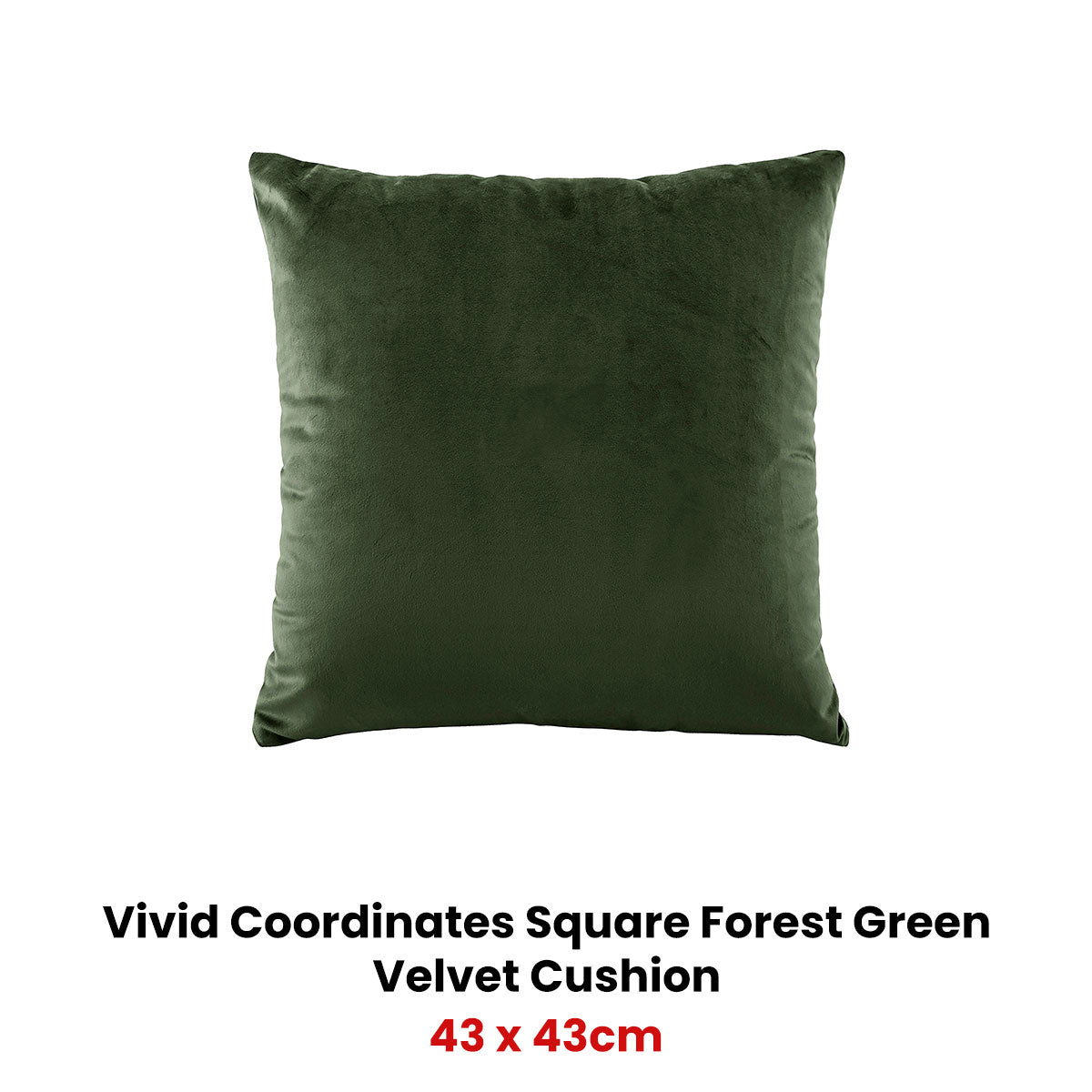 Vivid Coordinates Square Forest Green Velvet Cushion