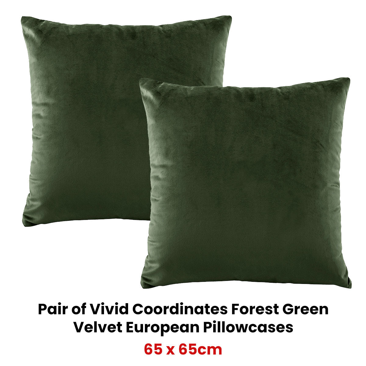 Pair of Vivid Coordinates Forest Green Velvet European Pillowcases