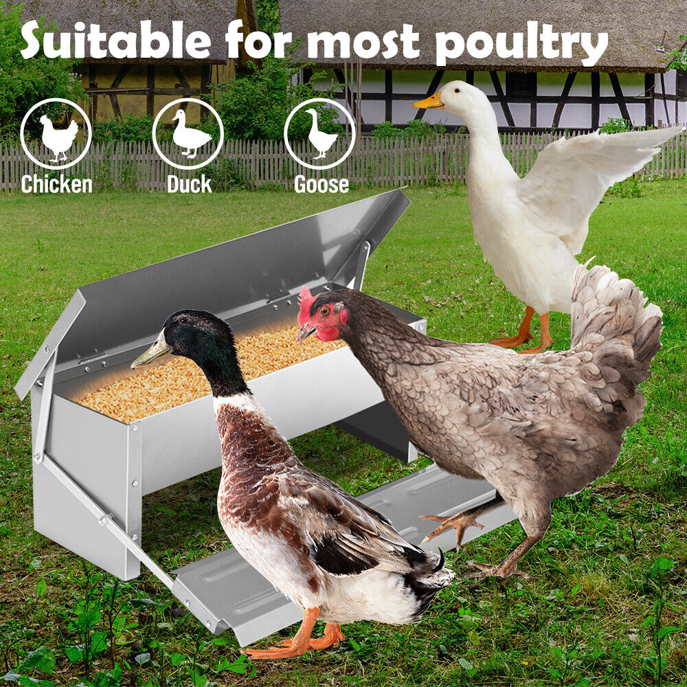 Automatic Chicken Feeder 5KG 7.5L Garden Farm Food Storage Box Stand Poultry AU