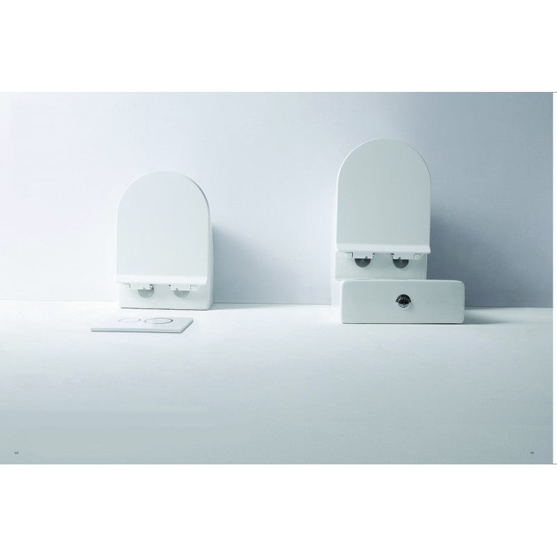 Flay-R Rimless Toilet Suite