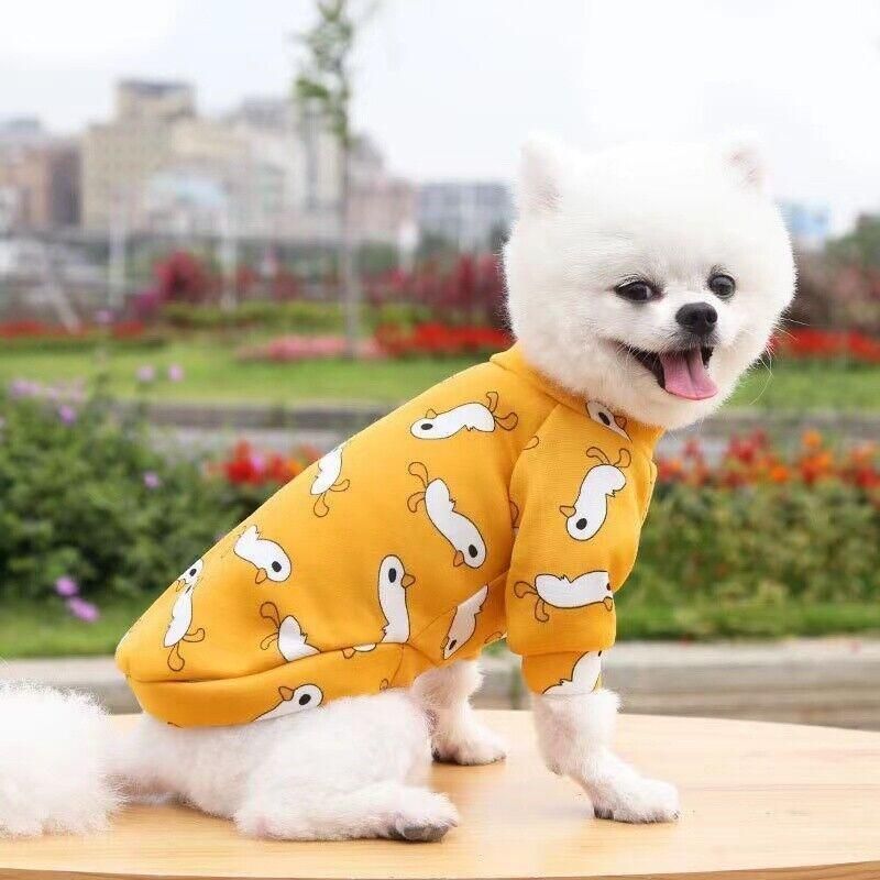 M Size Cute Pet Dog Warm Jumper Sweater Clothes Cat Knitwear Knitted Coats Winter - Blue Rabbit