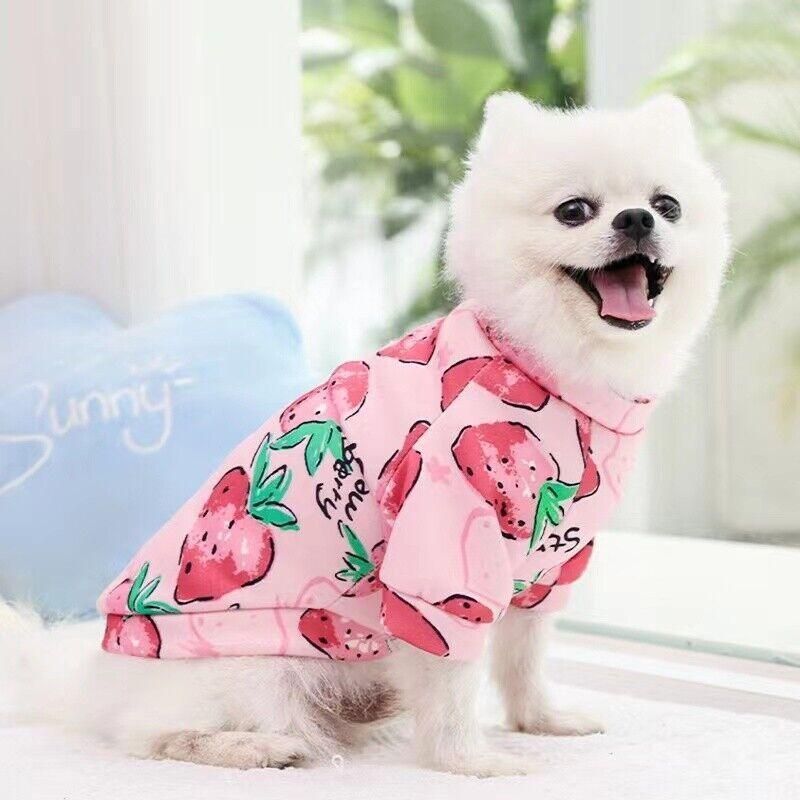 M Size Cute Pet Dog Warm Jumper Sweater Clothes Cat Knitwear Knitted Coats Winter - Pink Strawberry