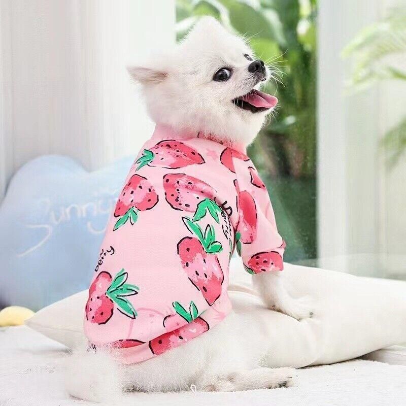 XL Size Cute Pet Dog Warm Jumper Sweater Clothes Cat Knitwear Knitted Coats Winter - Yellow Duck