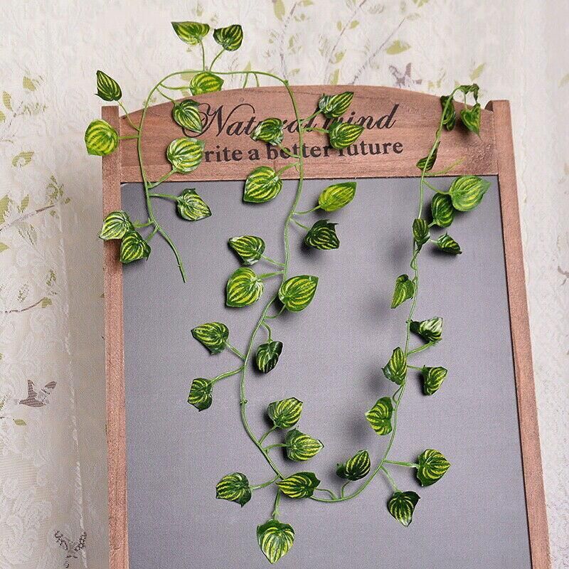 12 X 2M Artificial Ivy Vine Fake Foliage Flower Hanging Leaf Garland Plant Party - Begonia Leaves