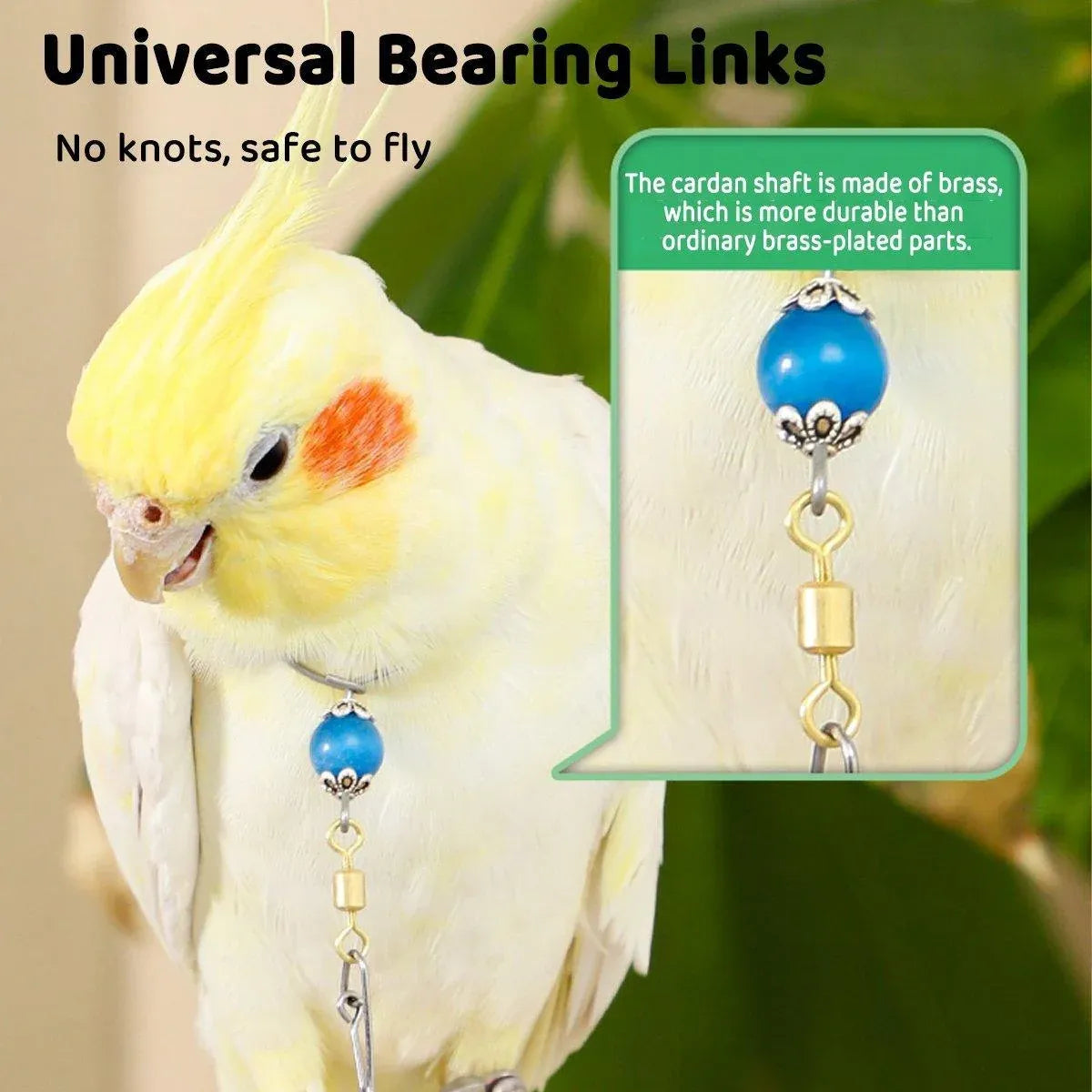 Parrot Neck Collar Stainless Steel Bird Chain Training Adjustable Bird Leash - L-Diameter 2.2cm