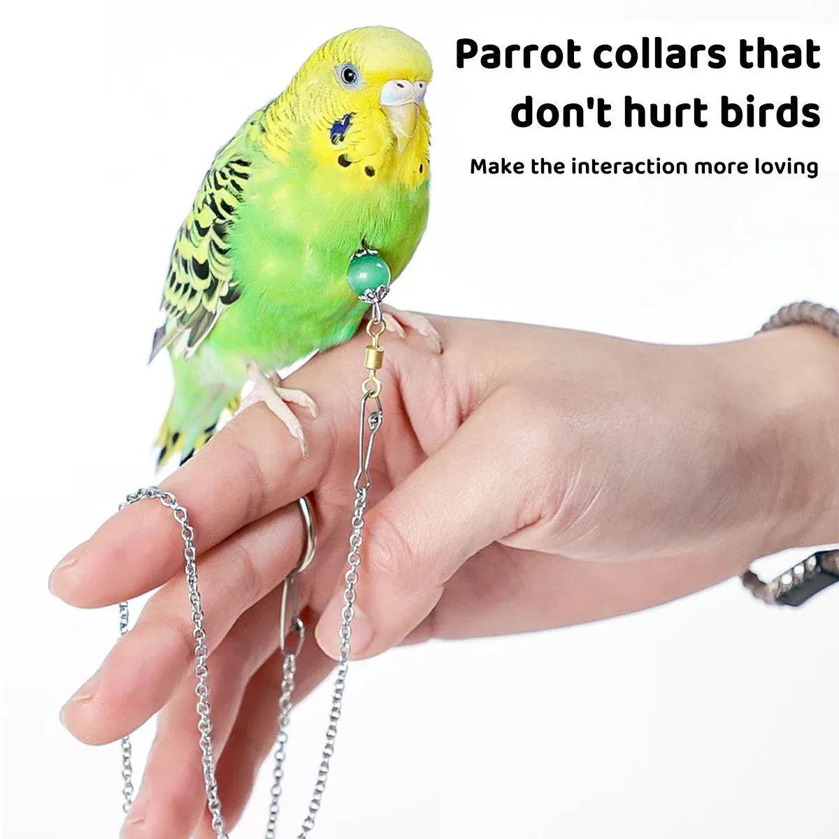 Parrot Neck Collar Stainless Steel Bird Chain Training Adjustable Bird Leash - L-Diameter 2.2cm