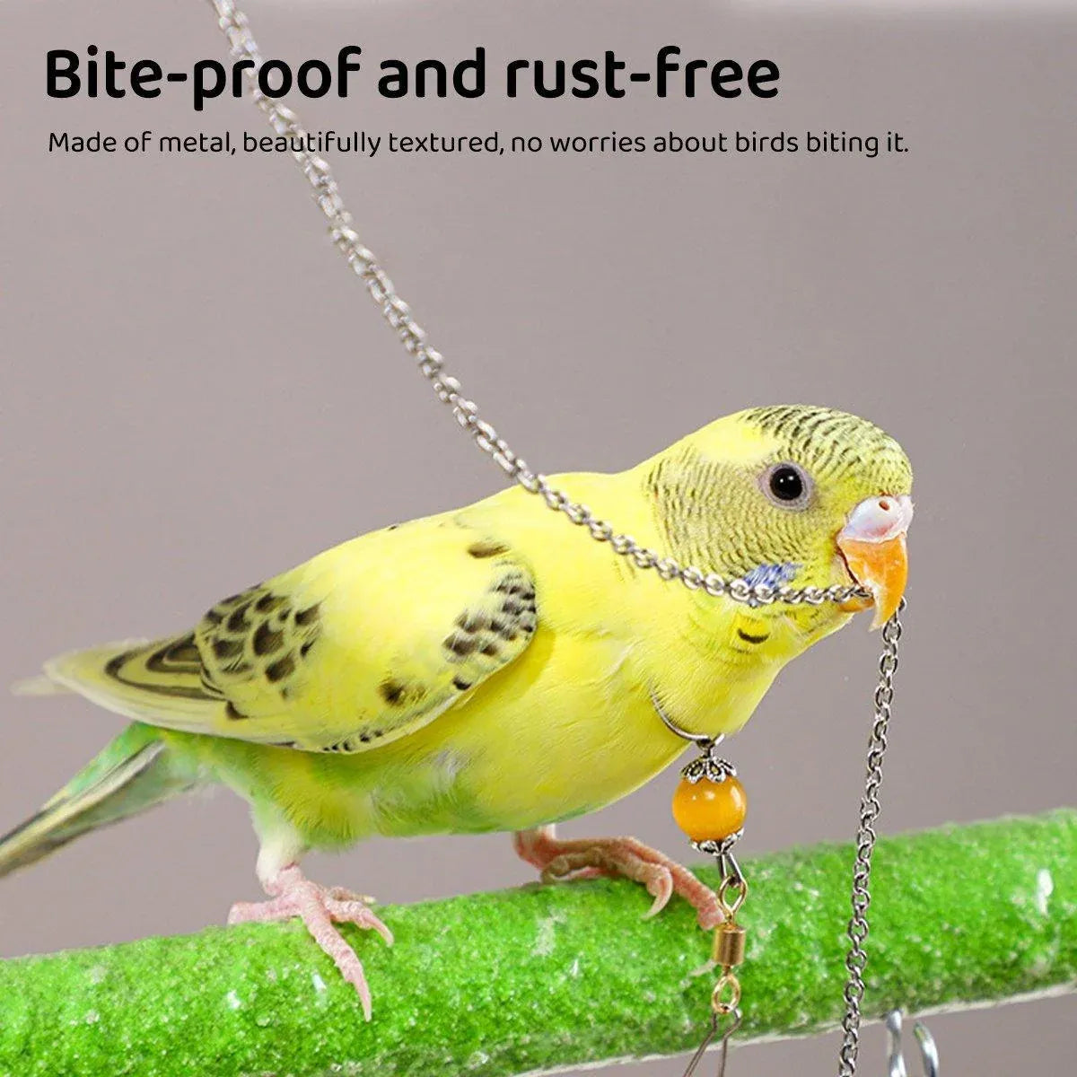 Parrot Neck Collar Stainless Steel Bird Chain Training Adjustable Bird Leash - S-Diameter 1.6cm