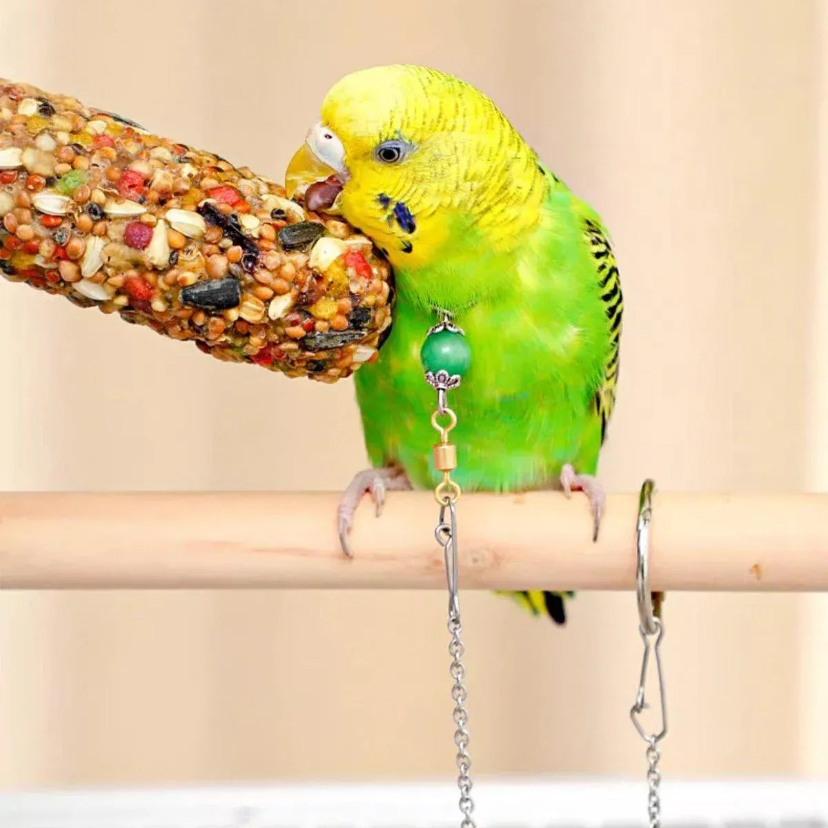 Parrot Neck Collar Stainless Steel Bird Chain Training Adjustable Bird Leash - S-Diameter 1.6cm