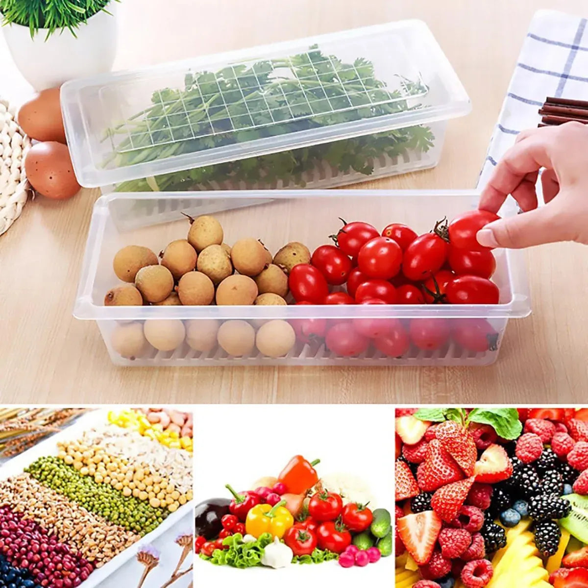 Fresh Keeping Box Set 4PCS Refrigerator Draining Sealed Fish Container Kitchen
