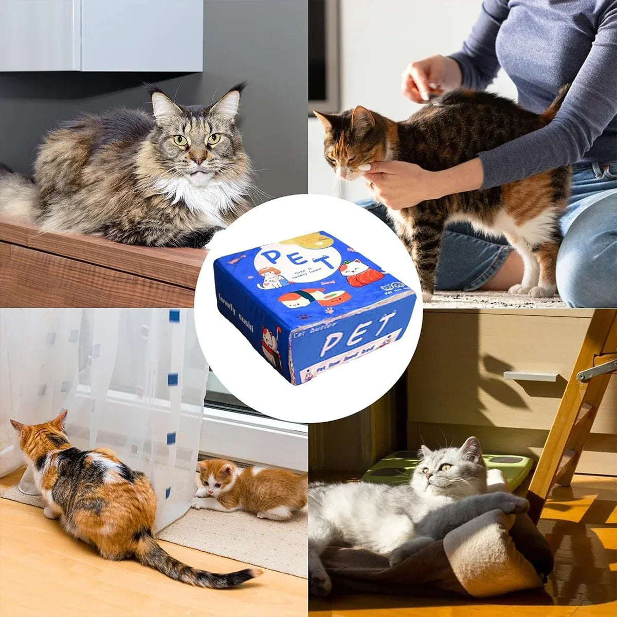 Rectangular Cookie Box Pet Bed for Cats Dogs Cat Bed Kitten Puppy Soft Pet House - Blue M