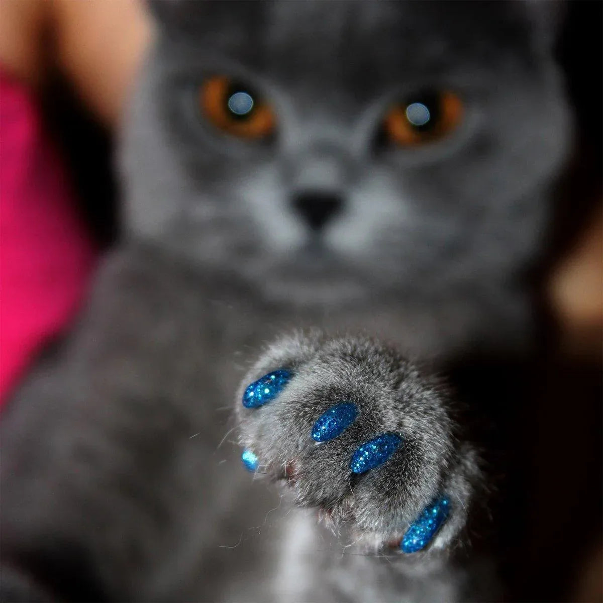 100PCS Anti Scratch Paw Covers for Cats and Kittens Nail Protector Soft Paw - Flat-L