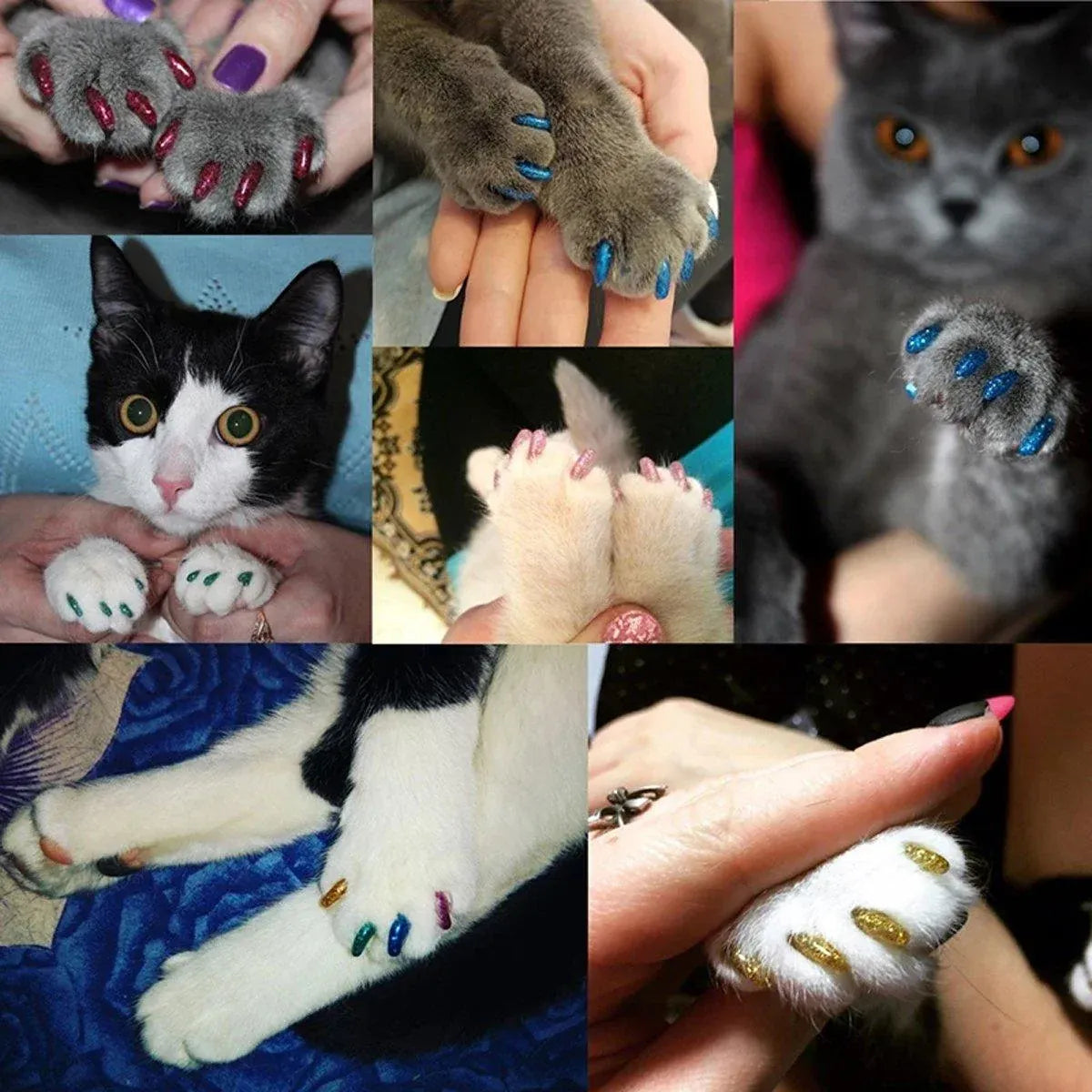 100PCS Anti Scratch Paw Covers for Cats and Kittens Nail Protector Soft Paw - Flat-L