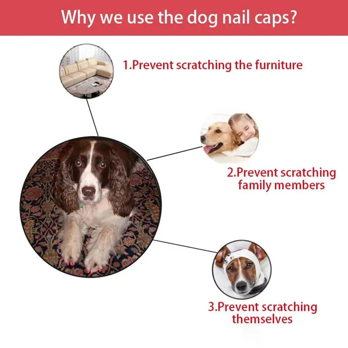 100PCS Anti Scratch Paw Covers for Cats and Kittens Nail Protector Soft Paw - Flat-L