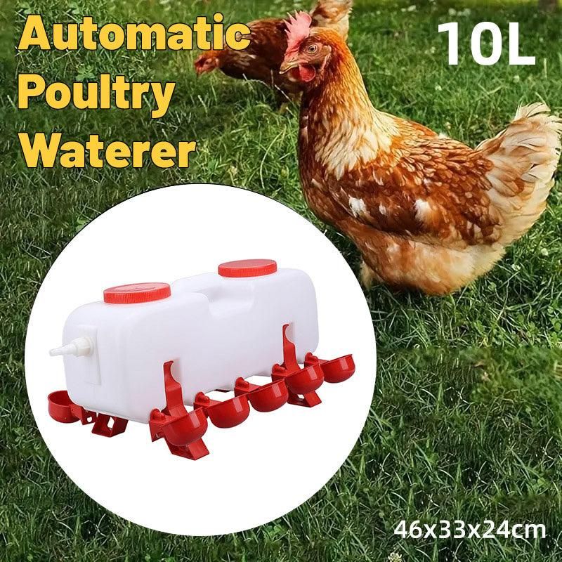 10L Chicken Poultry Automatic Drinking Tank Drinker Feeding Pot