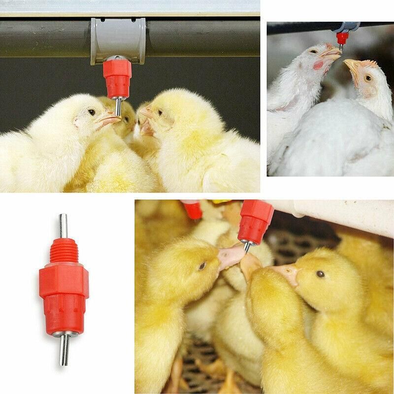 10 PCS Automatic Nipple Water Valves for Poultry and Duck Feeding