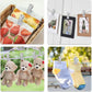 30pcs Multi Functional Stainless Steel Clothes Drying Clips Windproof Clips