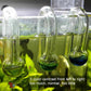 Aquatic CO2 Drop Checker Glass Aquarium Monitor Kit Accurate Fish Tank Tester - Test solution