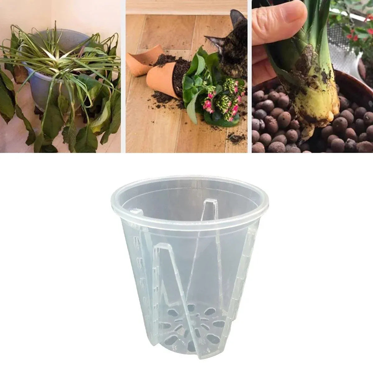 10xClear Plastic Orchid Pots with Holes for Phalaenopsis Root Aeration