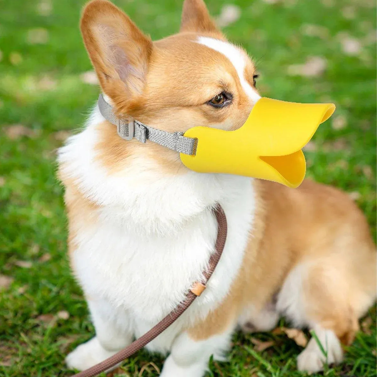 Comfortable Silicone Dog Muzzle Anti-Bite Soft Duck Muzzle Pet Training Supplies - S