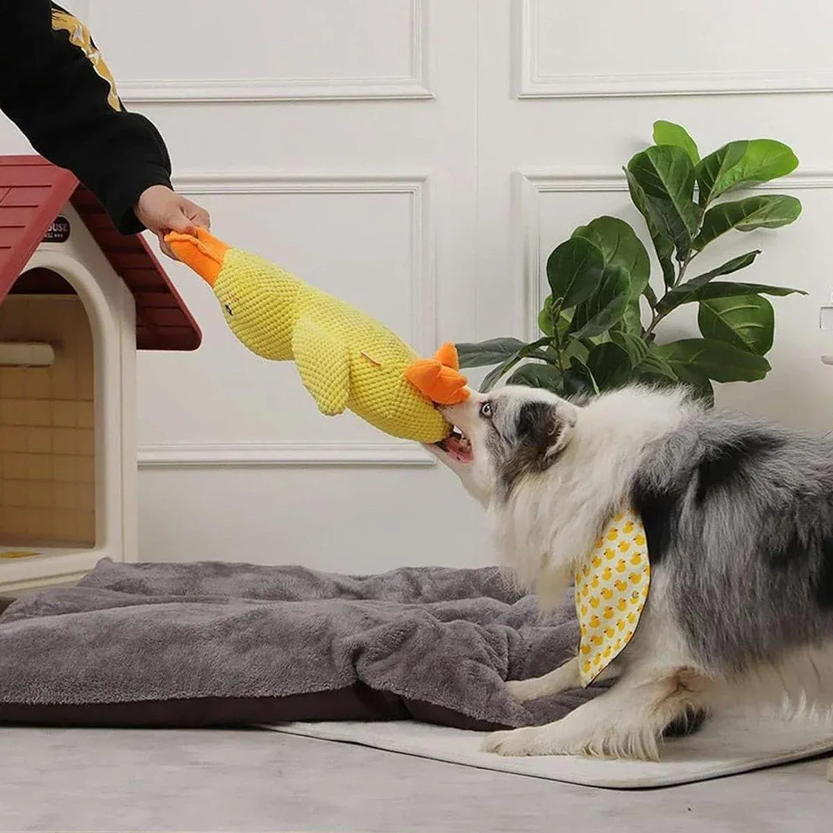 Plush Cartoon Duck Dog Toy Interactive Squeaky Pet Toy Durable Fun Chew Toy - Yellow