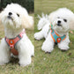 Dog Harness Cat Lead Puppy Leash Vest Mesh Breathe Adjustable Braces Small Pet Orange - M