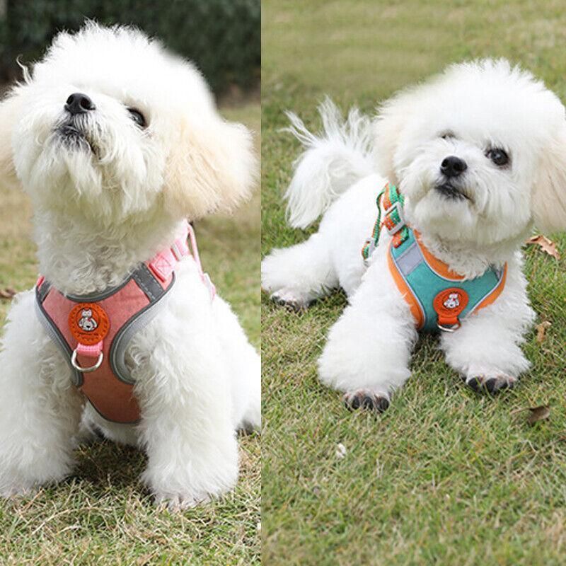 Dog Harness Cat Lead Puppy Leash Vest Mesh Breathe Adjustable Braces Small Pet Orange - M