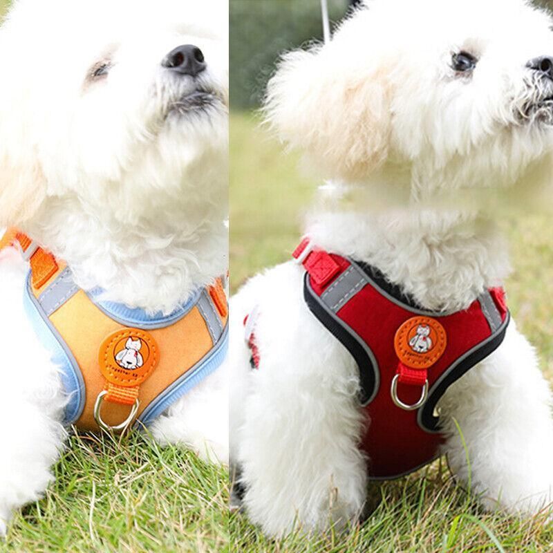Dog Harness Cat Lead Puppy Leash Vest Mesh Breathe Adjustable Braces Small Pet Orange - M