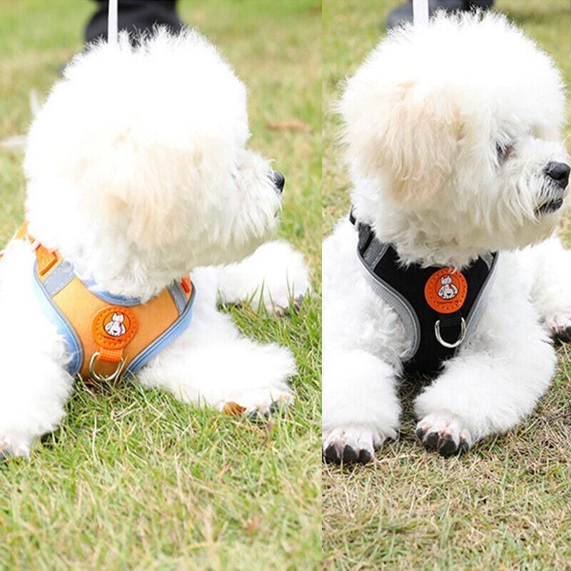 Dog Harness Cat Lead Puppy Leash Vest Mesh Breathe Adjustable Braces Small Pet Orange - M
