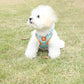Dog Harness Cat Lead Puppy Leash Vest Mesh Breathe Adjustable Braces Small Pet Orange - M