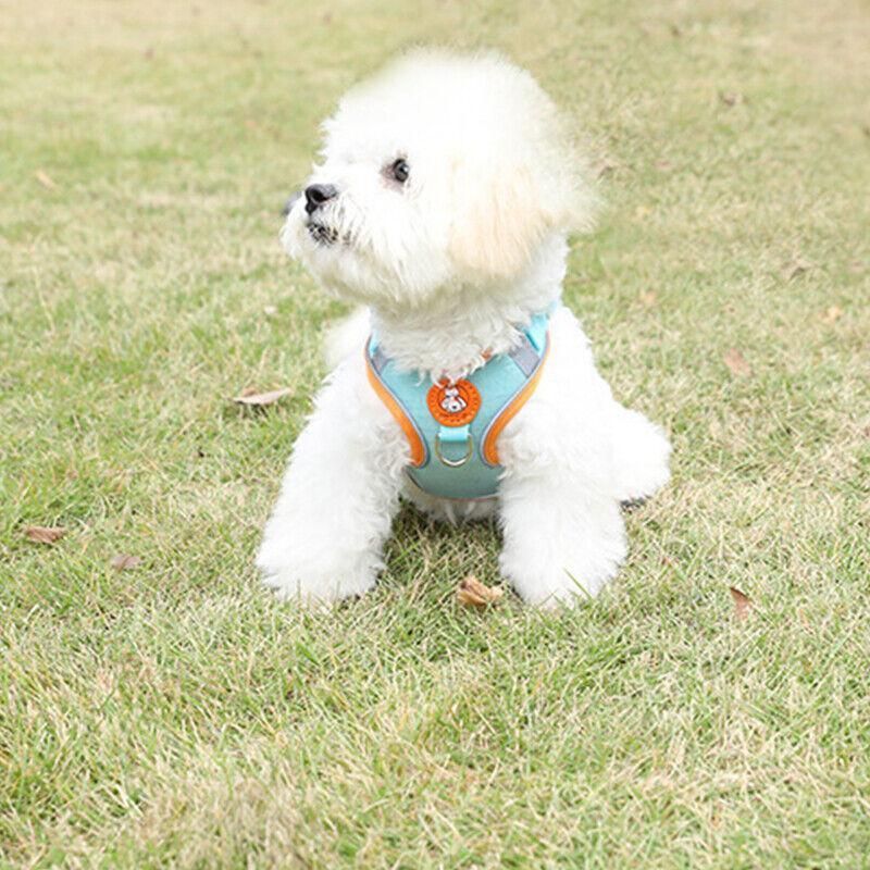 Dog Harness Cat Lead Puppy Leash Vest Mesh Breathe Adjustable Braces Small Pet Orange - M