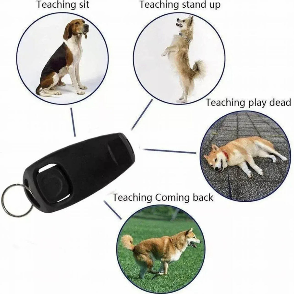 Dog Whistle and Clicker Set for Training Stop Barking Obedience Tool Combo - Emerald Green