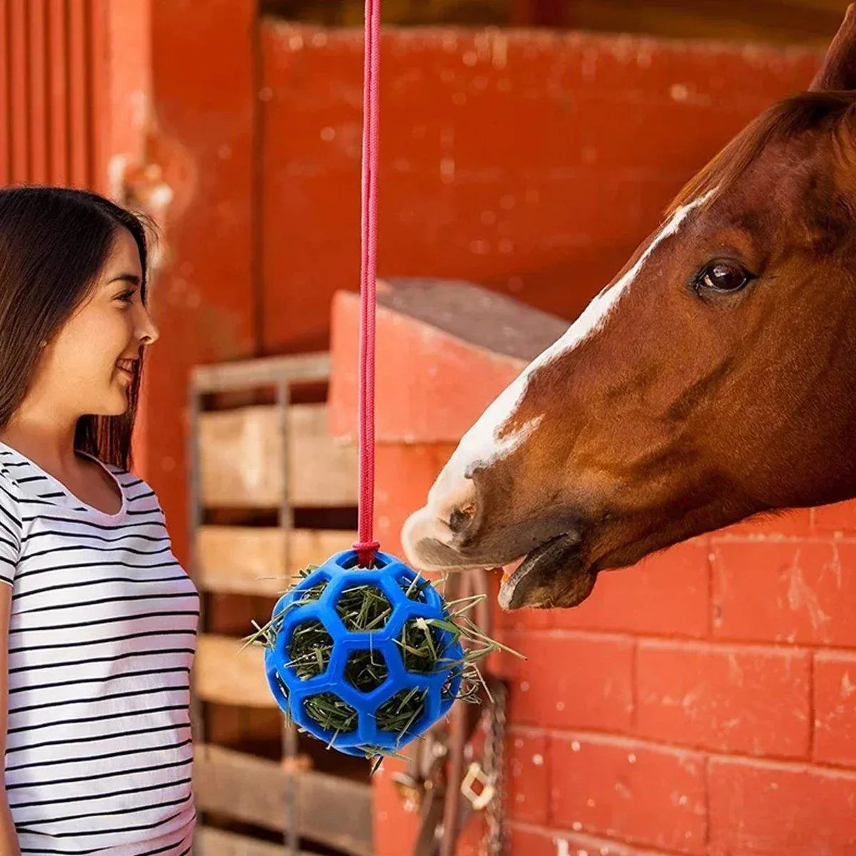 Hanging Hay Feeders Stable Feed Polo Feeding Balls Toy for Horses and Livestock - Blue
