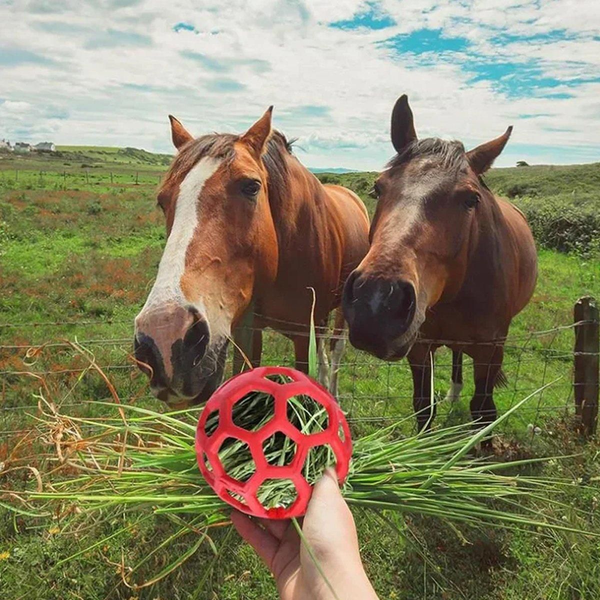 Hanging Hay Feeders Stable Feed Polo Feeding Balls Toy for Horses and Livestock - Blue