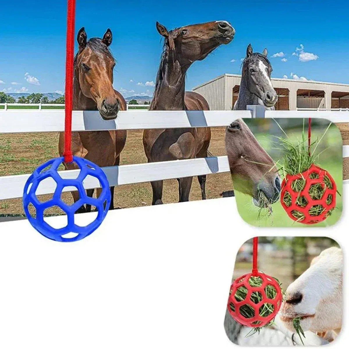 Hanging Hay Feeders Stable Feed Polo Feeding Balls Toy for Horses and Livestock - Blue