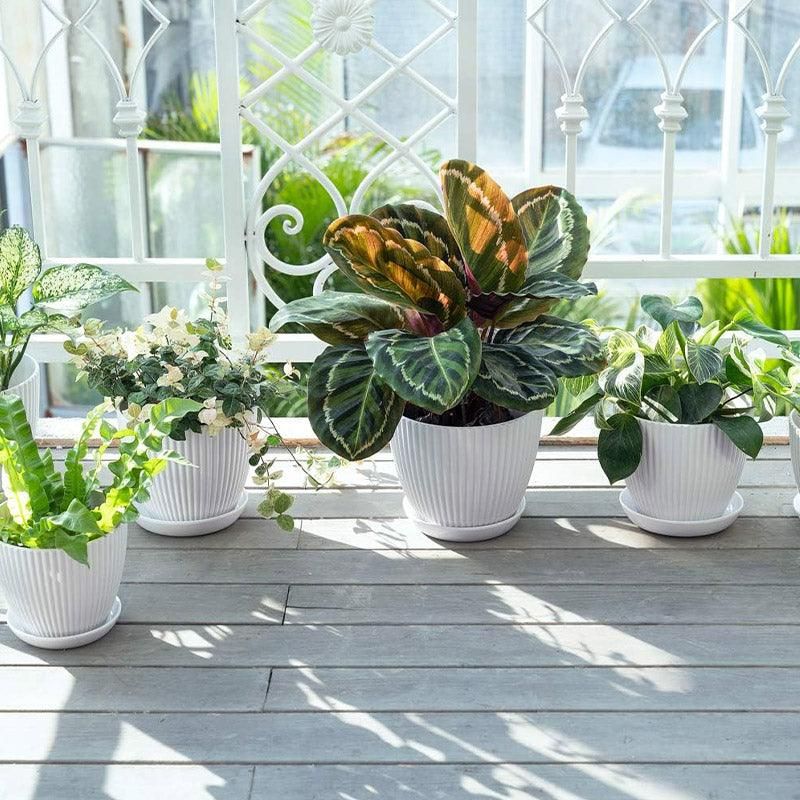 6pcs Simple Plastic Round Plant Pots Vertical Stripes Flower Pot Green Gardening