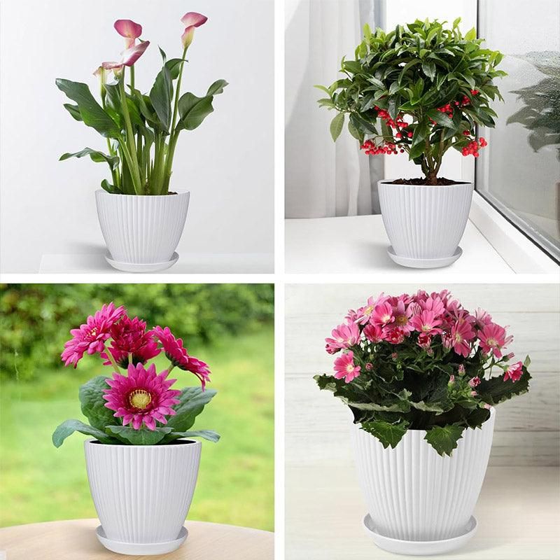 Pots Vertical Stripes Flower Pot Green Gardening White Flowerpot 190103 6pcs Simple