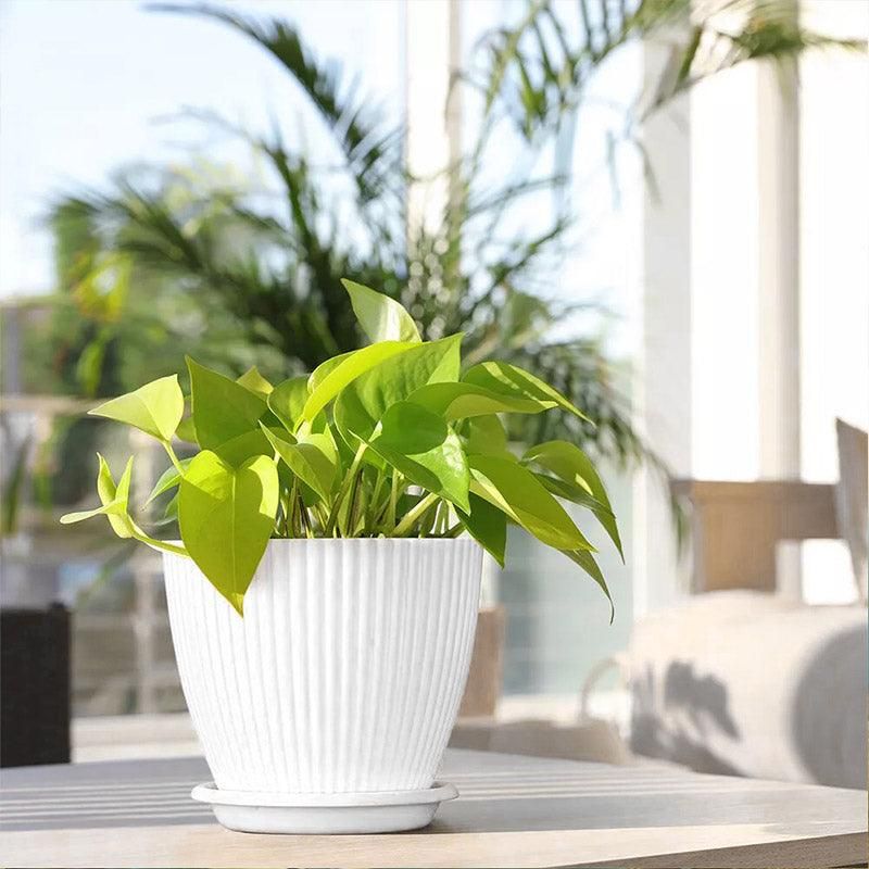 6pcs Simple Plastic Round Vertical Stripes Flower Pot Plant Pots