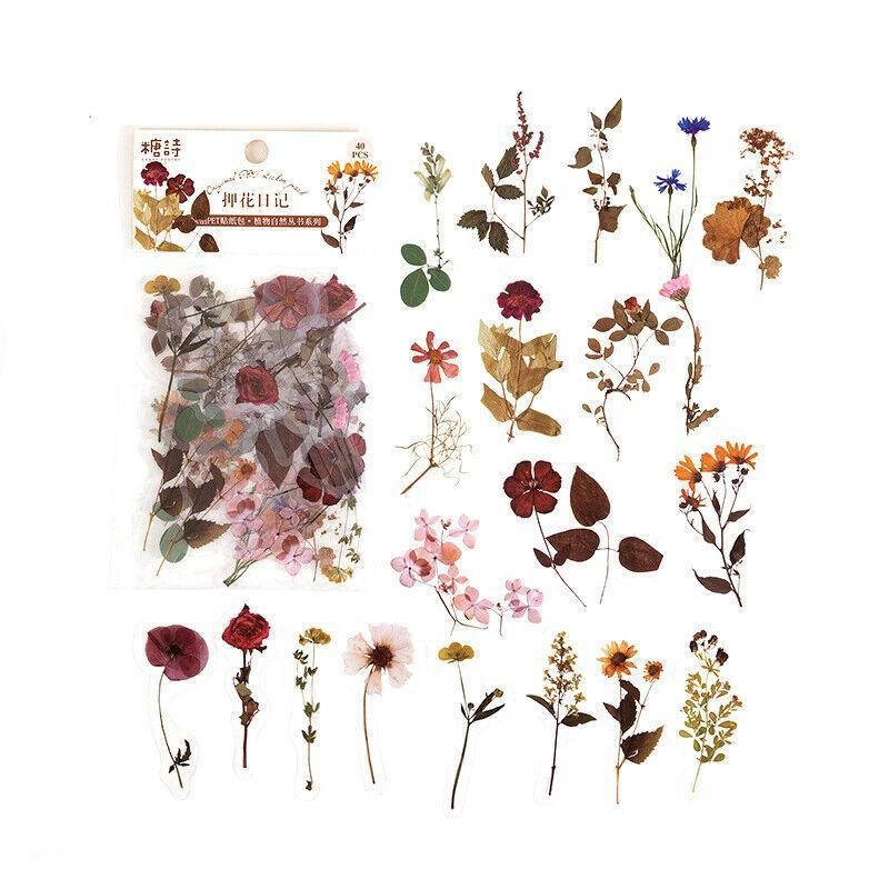 Scrapbooking Flower Stickers Pet Transparent Sticker - H