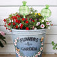 2PCS Automatic Glass Watering Cactus Plant Flower Self Drip Irrigation Tool - Transparent