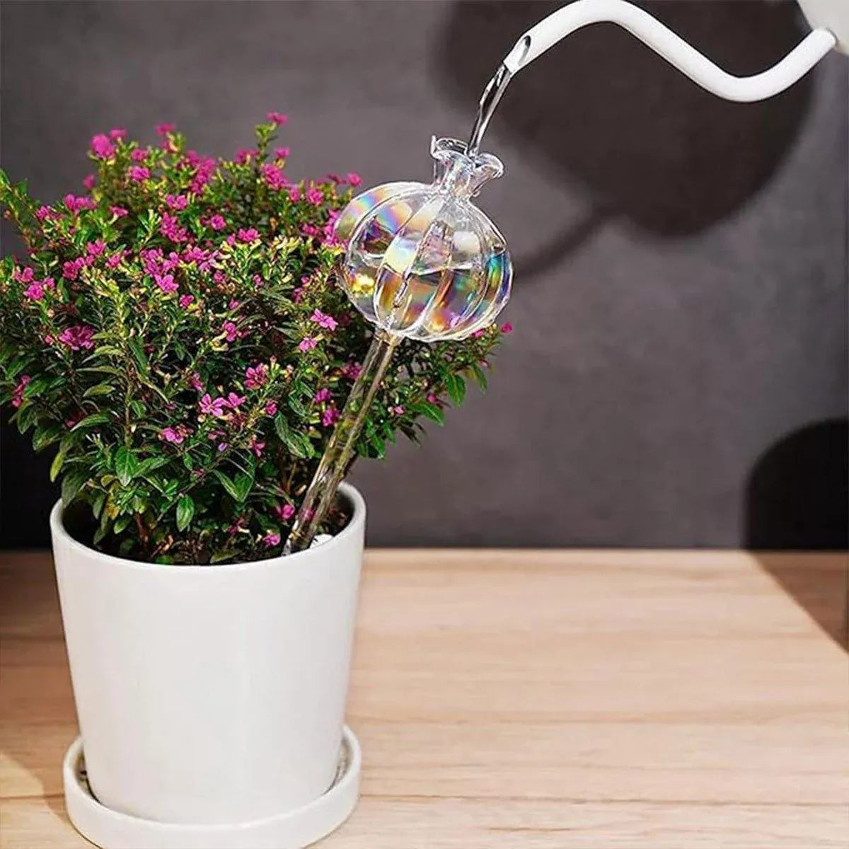 2PCS Automatic Glass Watering Cactus Plant Flower Self Drip Irrigation Tool - Transparent