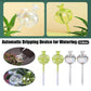 2PCS Automatic Glass Watering Cactus Plant Flower Self Drip Irrigation Tool - Transparent