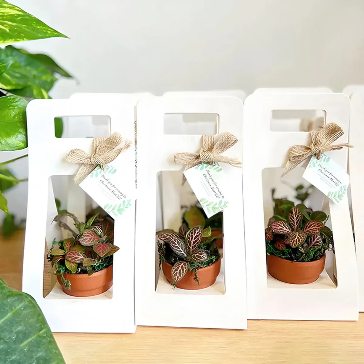 30PCS Flower Gift Packaging Boxes with Handle Durable Birthday Wedding Favors - White