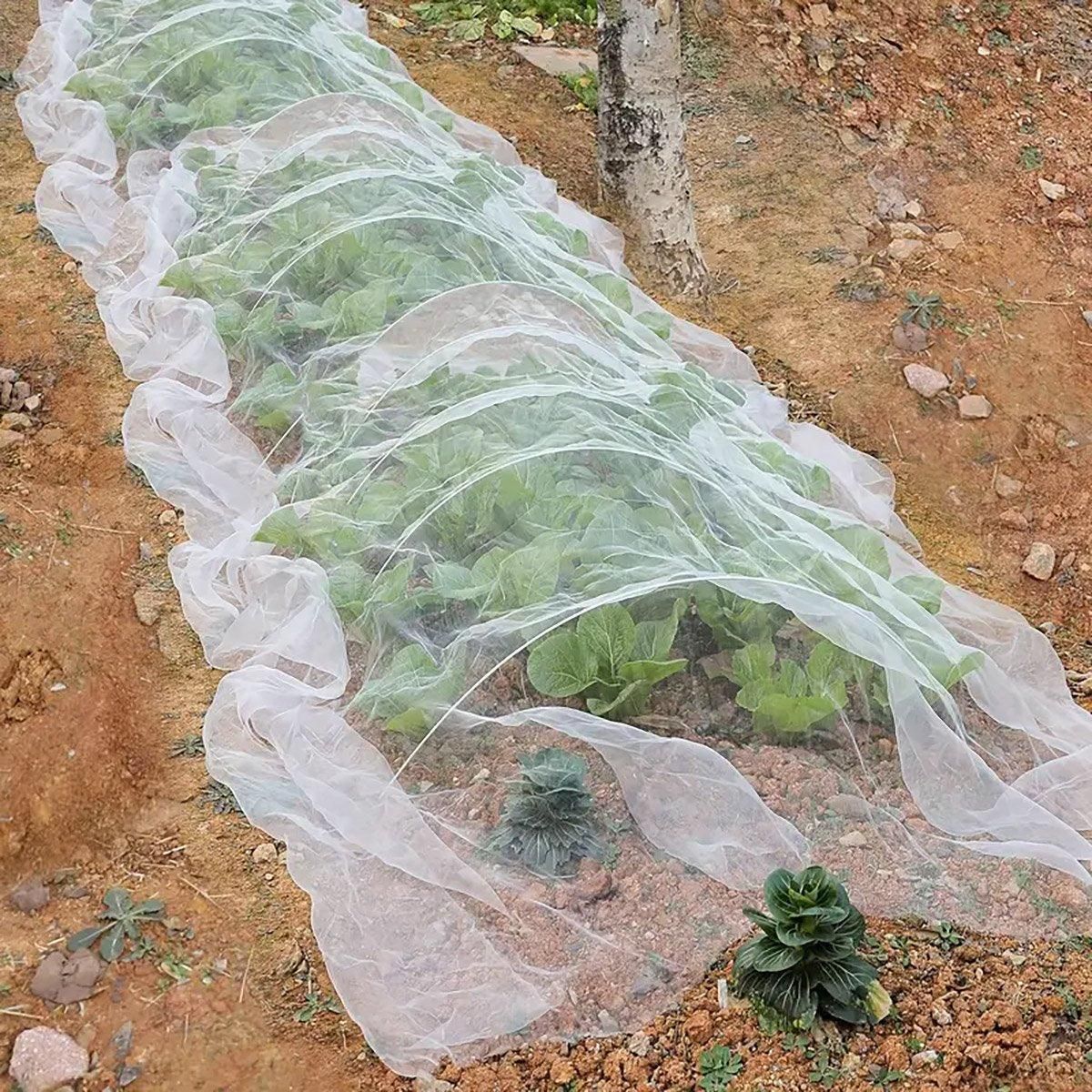 Agricultural Insect-proof Greenhouse Net for Fruit Vegetable Plant Protection - 250CMx6M